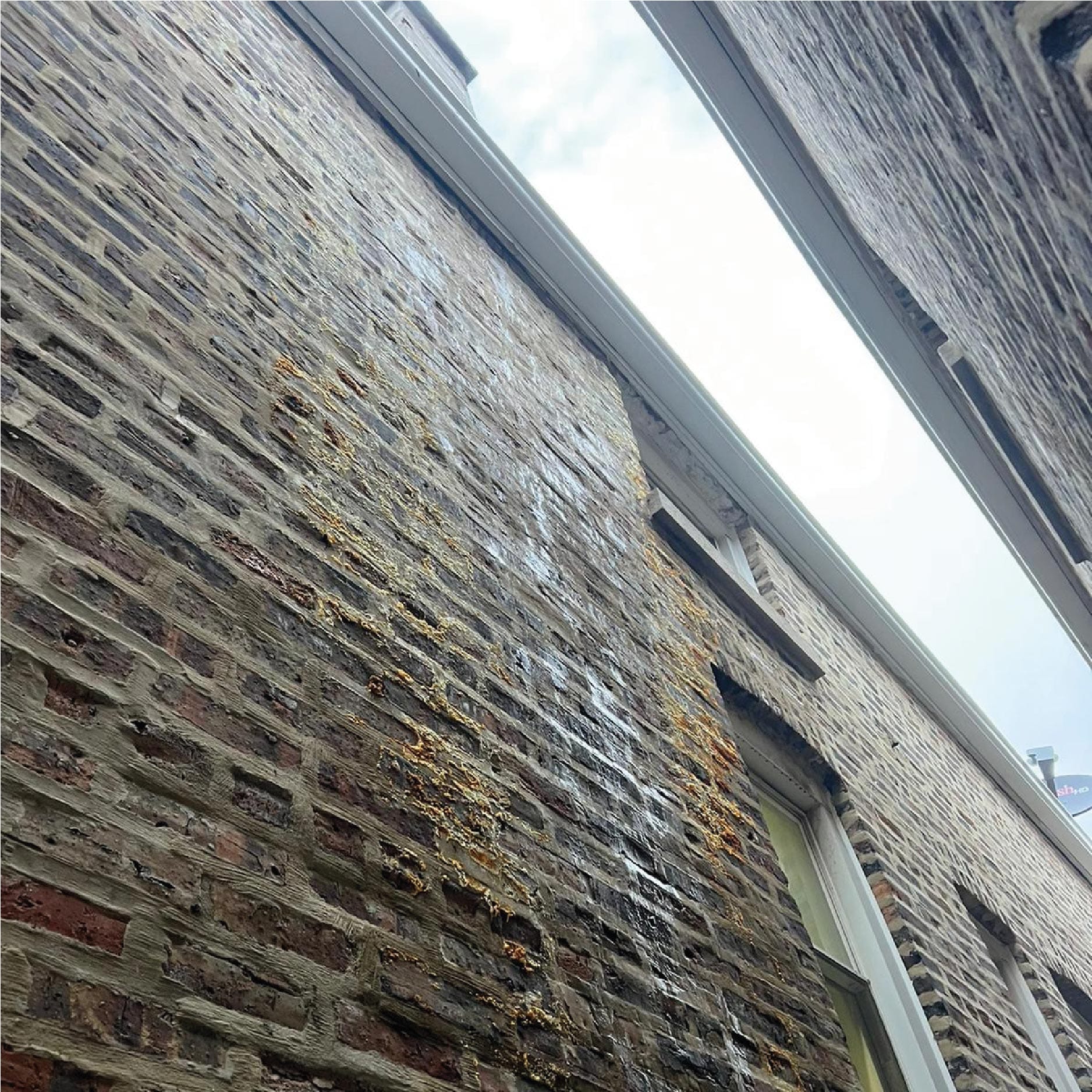 chimney service chicago illinois Mesa de trabajo 1